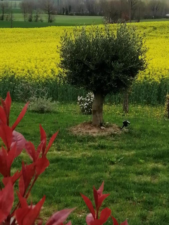 הוילה Badefols-sur-Dordogne Les Cypres De Crose I מראה חיצוני תמונה